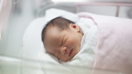 医院产房第一天新生儿的面部特写