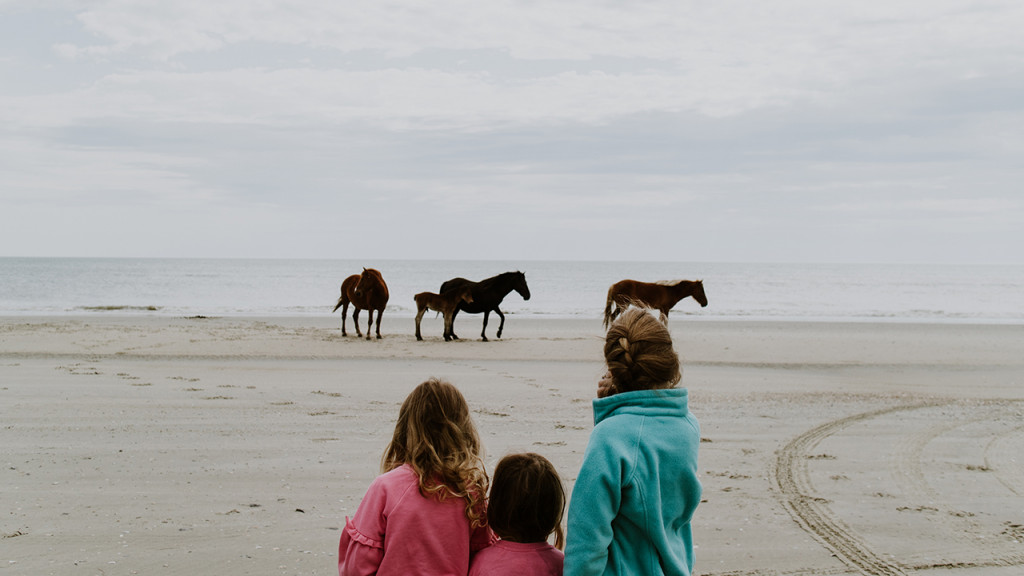三个女孩在看马