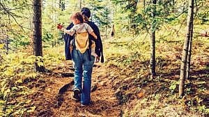 从后面看，一位父母背着蹒跚学步的孩子在森林里徒步旅行