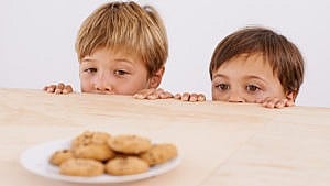 两个小男孩看着一盘刚出炉的饼干